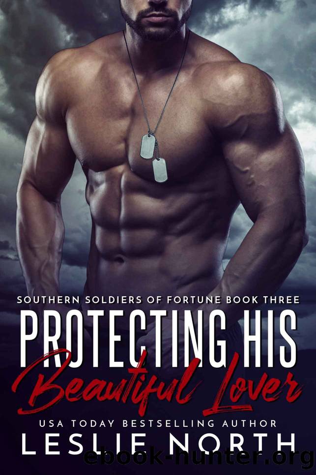 Protecting His Beautiful Lover (Southern Soldiers of Fortune Book 3) by Leslie North