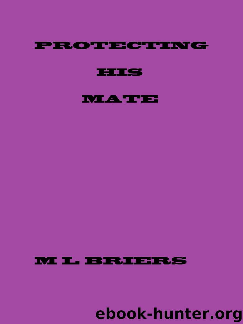 Protecting His Mate by M. L. Briers