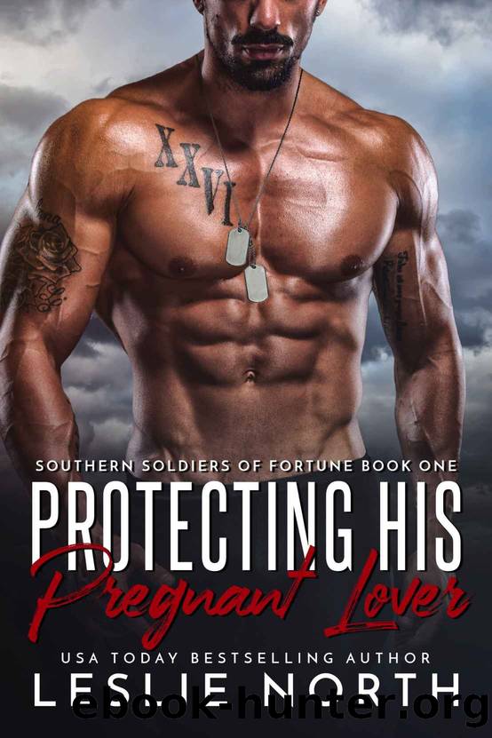 Protecting His Pregnant Lover (Southern Soldiers of Fortune Book 1) by Leslie North