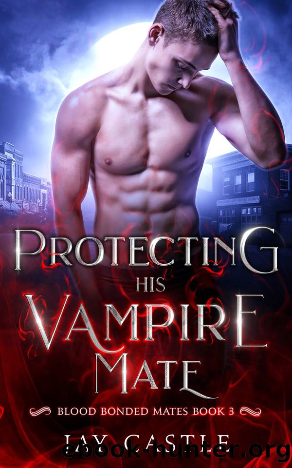 Protecting His Vampire Mate: Blood Bonded Mates Book 3 by Jay Castle