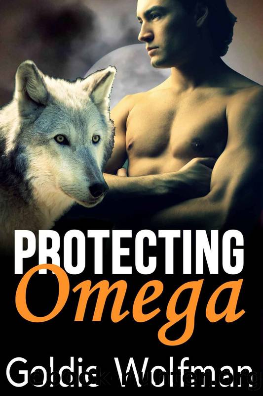 Protecting Omega: MM Gay MPreg Paranormal Romance by Goldie Woolfman