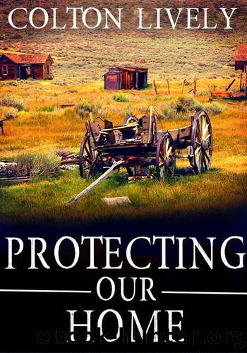 Protecting Our Home: EMP Survival in a Powerless World by Colton Lively