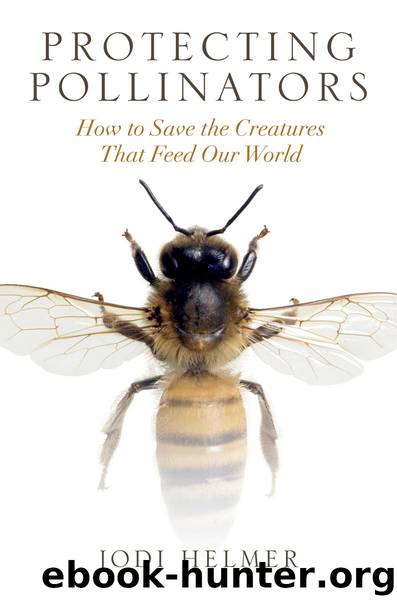 Protecting Pollinators: How to Save the Creatures That Feed Our World by Jodi Helmer