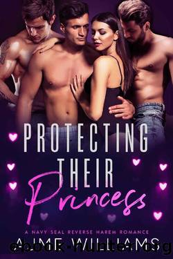 Protecting Their Princess: A Navy SEAL Reverse Harem Romance (The Why Choose Haremland) by Ajme Williams