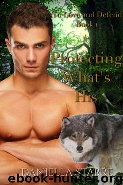 Protecting What's His (To Love And Defend Book 1) by Daniella Starre