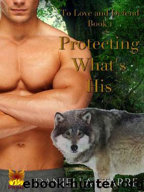 Protecting What's His by Daniella Starre