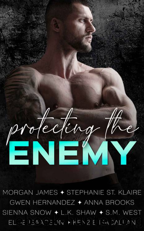 Protecting the Enemy: A Romantic Suspense Anthology by unknow