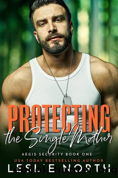 Protecting the Single Mother by Leslie North