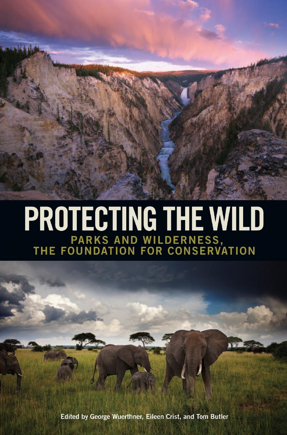 Protecting the Wild: Parks and Wilderness, the Foundation for Conservation by Unknow