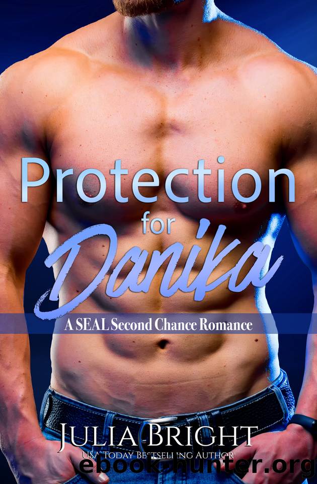 Protection For Danika: A SEAL Romance (Safeguarded By The SEAL Book 1) by Bright Julia