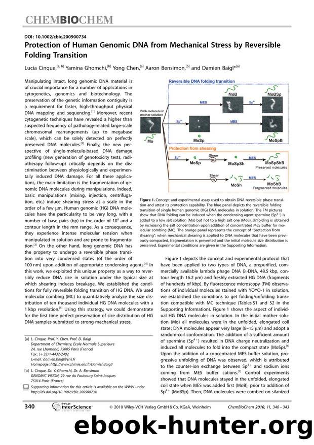 Protection of Human Genomic DNA from Mechanical Stress by Reversible Folding Transition by Unknown
