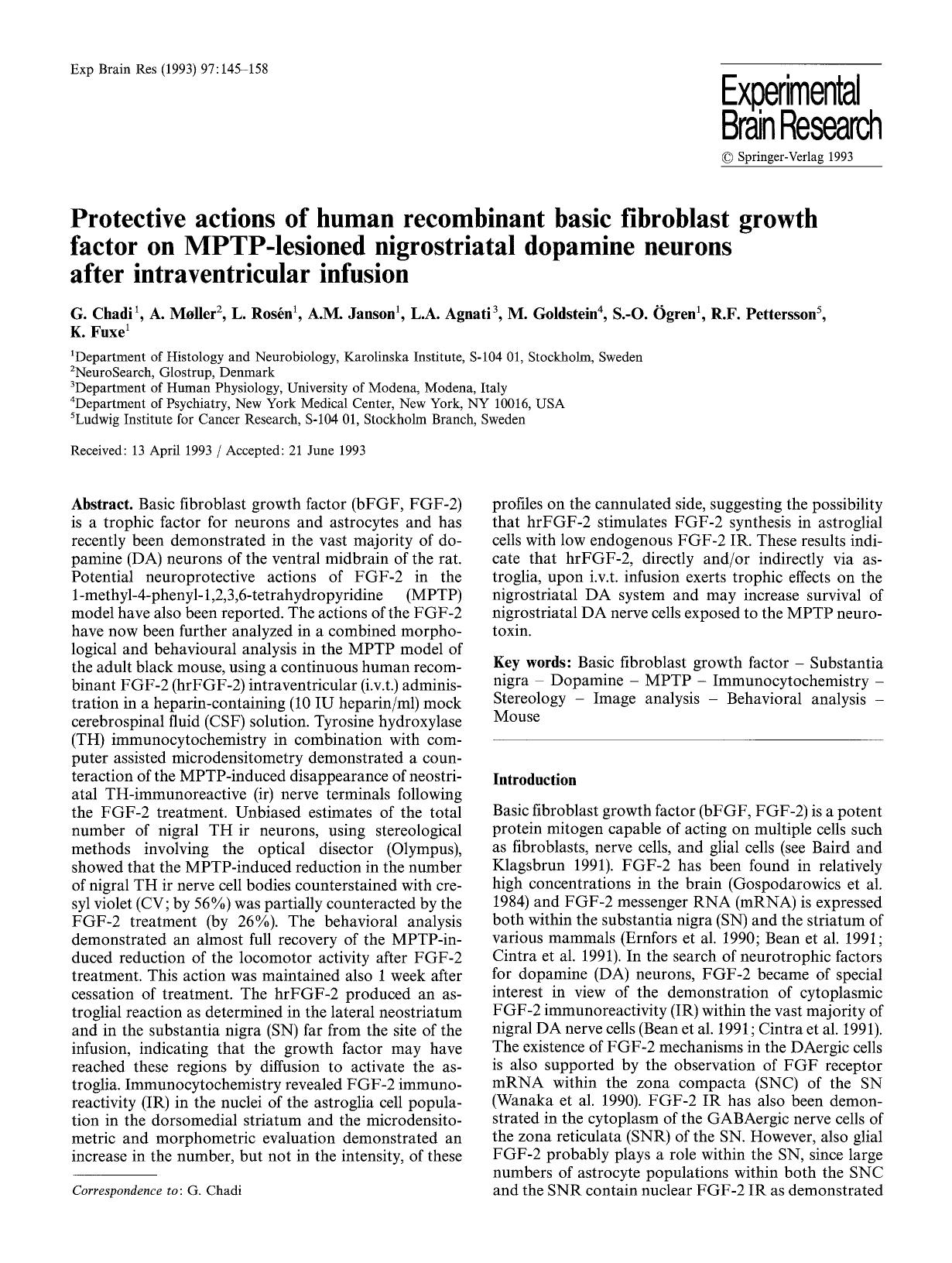 Protective actions of human recombinant basic fibroblast growth factor on MPTP-lesioned nigrostriatal dopamine neurons after intraventricular infusion by Unknown