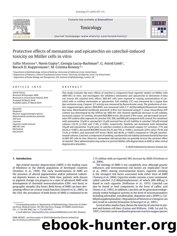 Protective effects of memantine and epicatechin on catechol-induced toxicity on MÃÂ¼ller cells in vitro by unknow