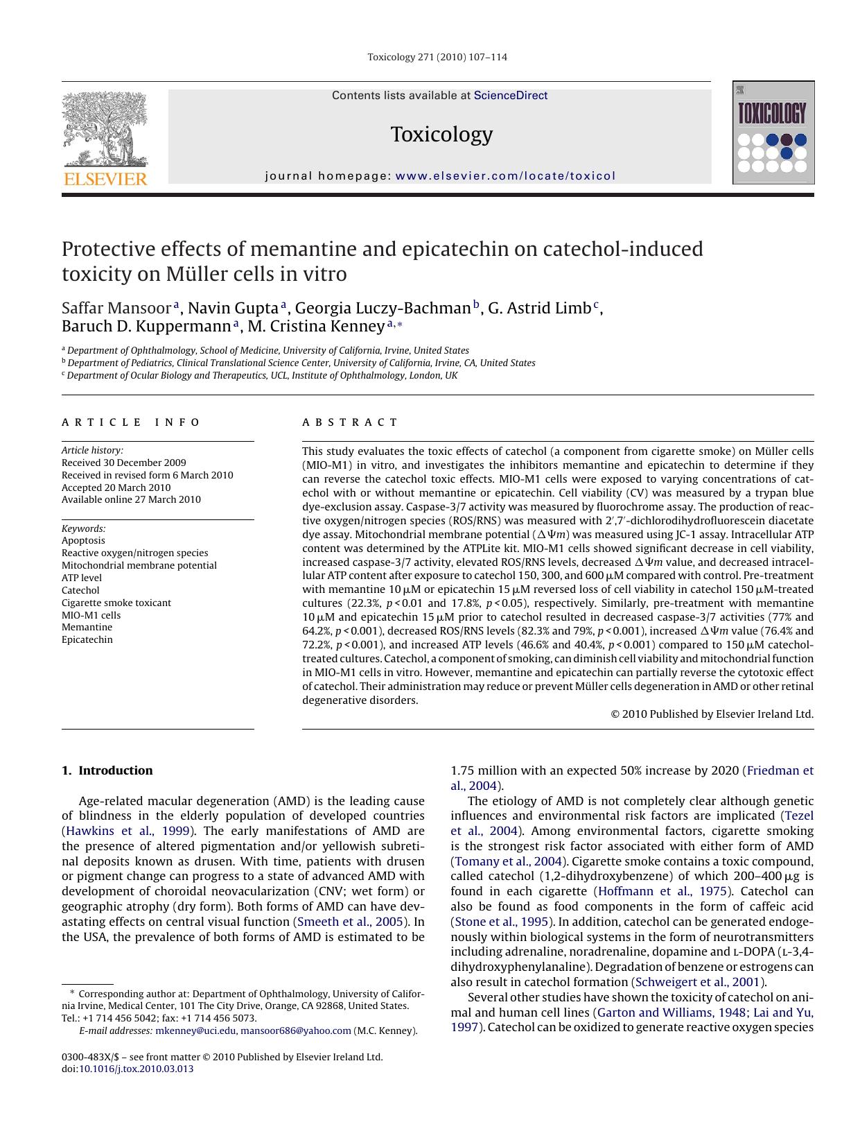 Protective effects of memantine and epicatechin on catechol-induced toxicity on MÃ¼ller cells in vitro by unknow