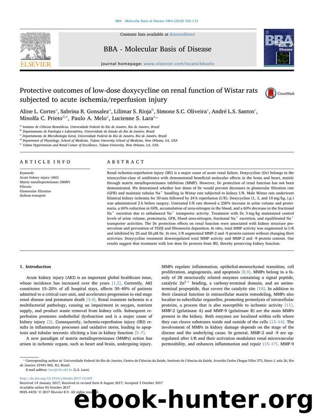 Protective outcomes of low-dose doxycycline on renal function of Wistar rats subjected to acute ischemiareperfusion injury by unknow