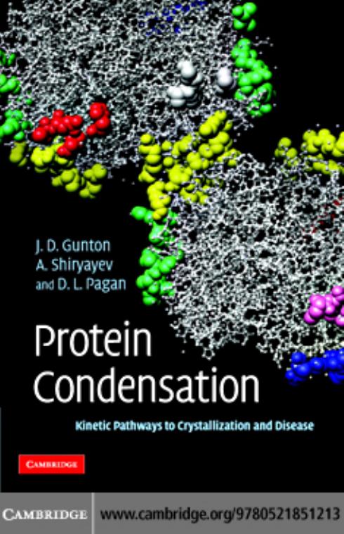 Protein Condensation: Kinetic Pathways to Crystallization and Disease by James D. Gunton Andrey Shiryayev Daniel L. Pagan