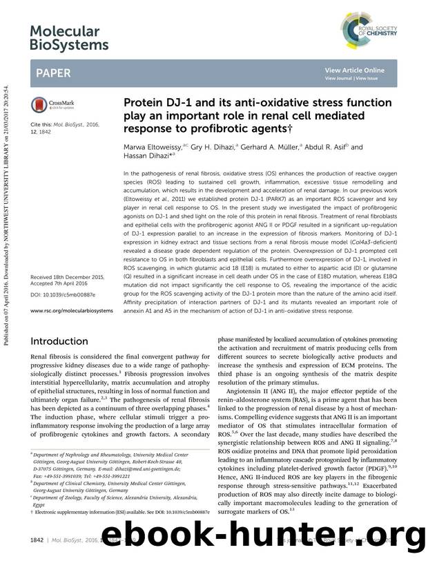 Protein DJ-1 and its anti-oxidative stress function play an important role in renal cell mediated response to profibrotic agents by Marwa Eltoweissy & Gry H. Dihazi & Gerhard A. M&üller & Abdul R. Asif & Hassan Dihazi