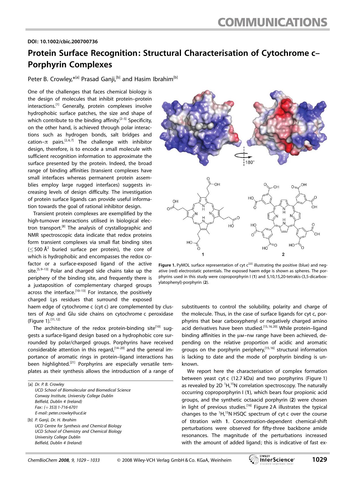 Protein Surface Recognition: Structural Characterisation of Cytochrome c-Porphyrin Complexes by Unknown