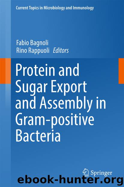 Protein and Sugar Export and Assembly in Gram-positive Bacteria by Fabio Bagnoli & Rino Rappuoli