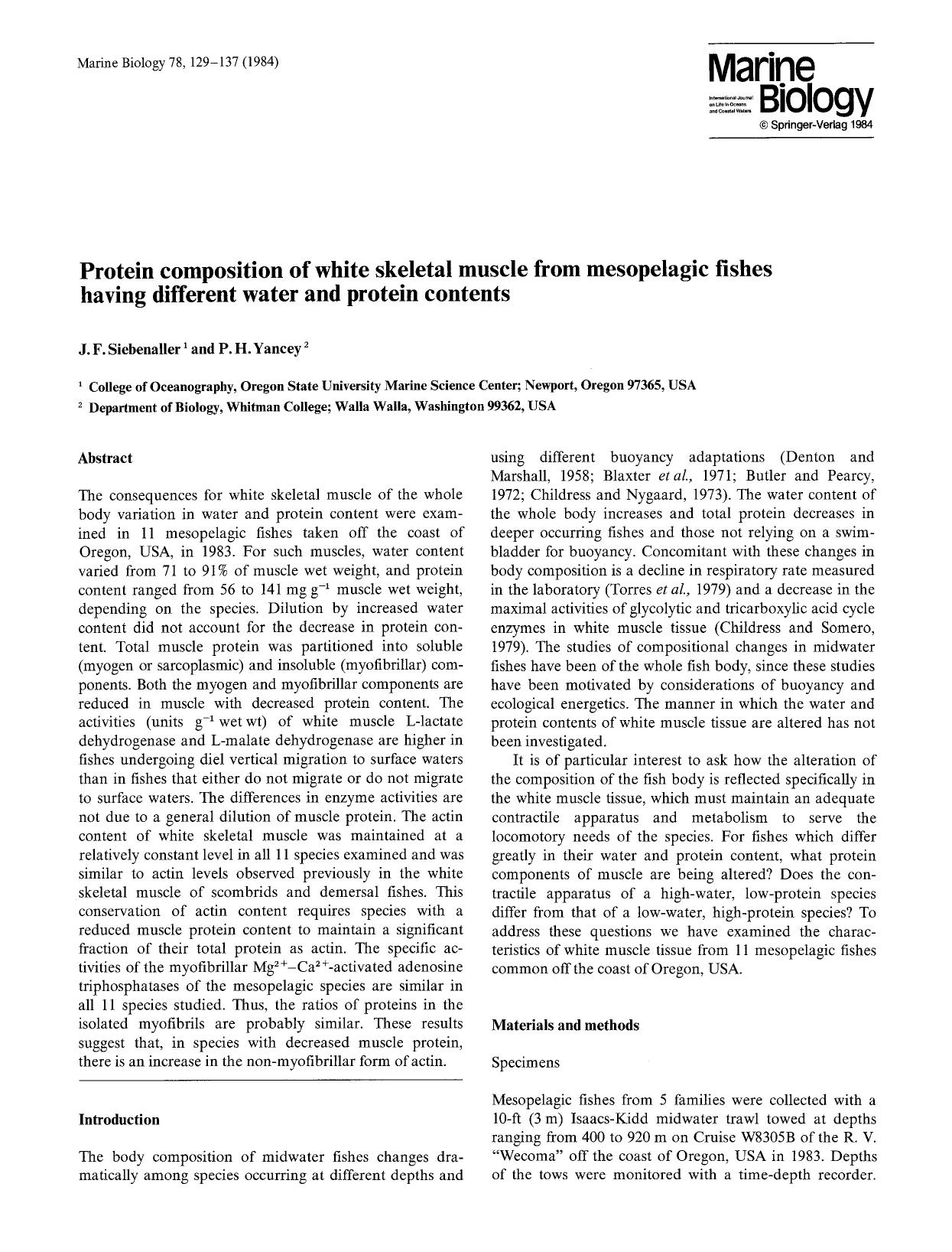 Protein composition of white skeletal muscle from mesopelagic fishes having different water and protein contents by Unknown