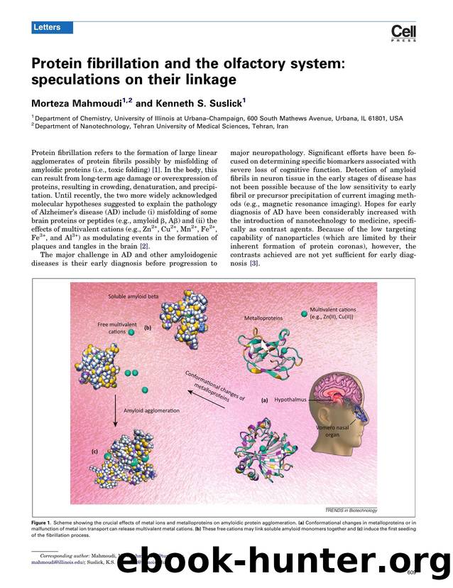 Protein fibrillation and the olfactory system: speculations on their linkage by Morteza Mahmoudi
