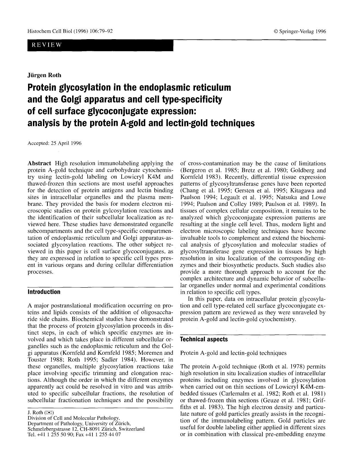 Protein glycosylation in the endoplasmic reticulum and the Golgi apparatus and cell type-specificity of cell surface glycoconjugate expression: analysis by the protein A-gold and l by Unknown