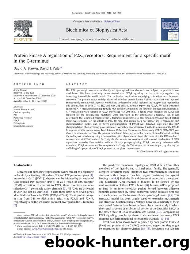 Protein kinase A regulation of P2X4 receptors: Requirement for a specific motif in the C-terminus by David A. Brown; David I. Yule