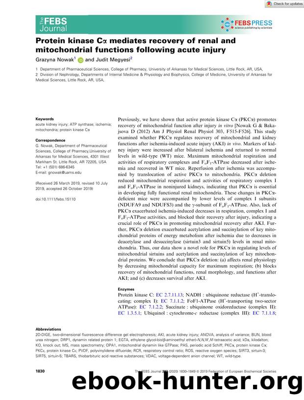 Protein kinase CÎ± mediates recovery of renal and mitochondrial functions following acute injury by Unknown