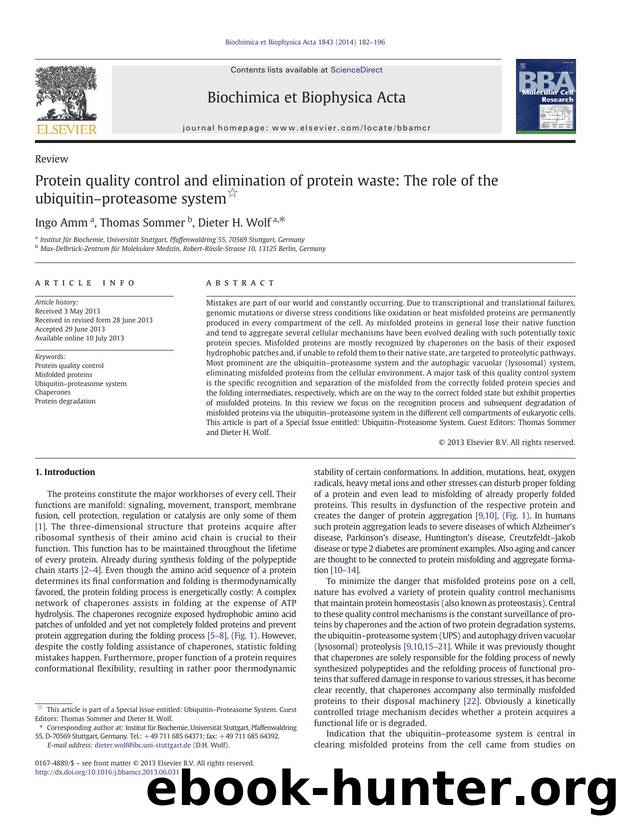 Protein quality control and elimination of protein waste: The role of the ubiquitinâproteasome system by Ingo Amm & Thomas Sommer & Dieter H. Wolf