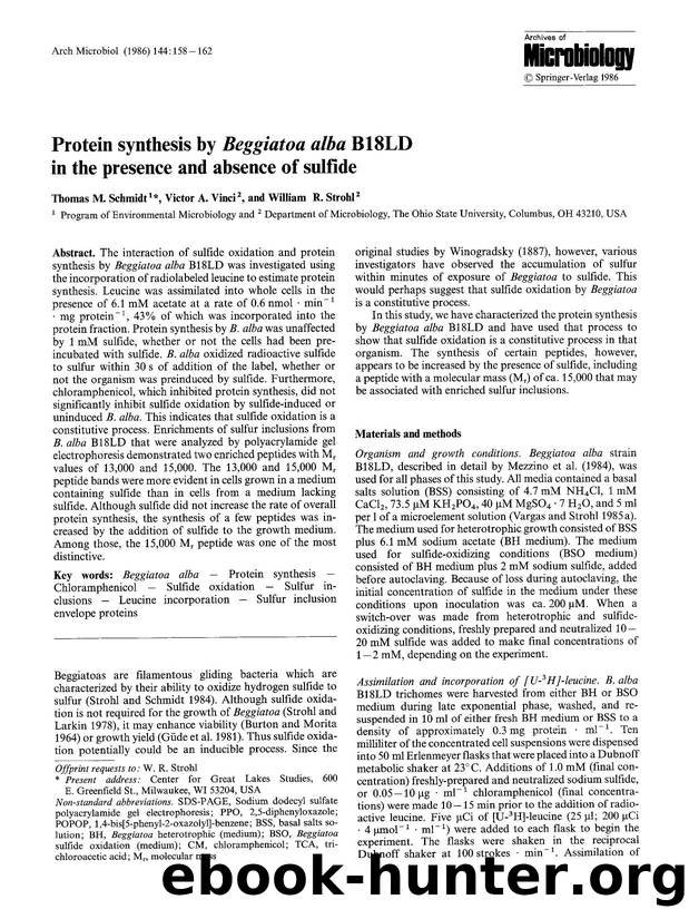 Protein synthesis by <Emphasis Type="Italic">Beggiatoa alba<Emphasis> B18LD in the presence and absence of sulfide by Unknown
