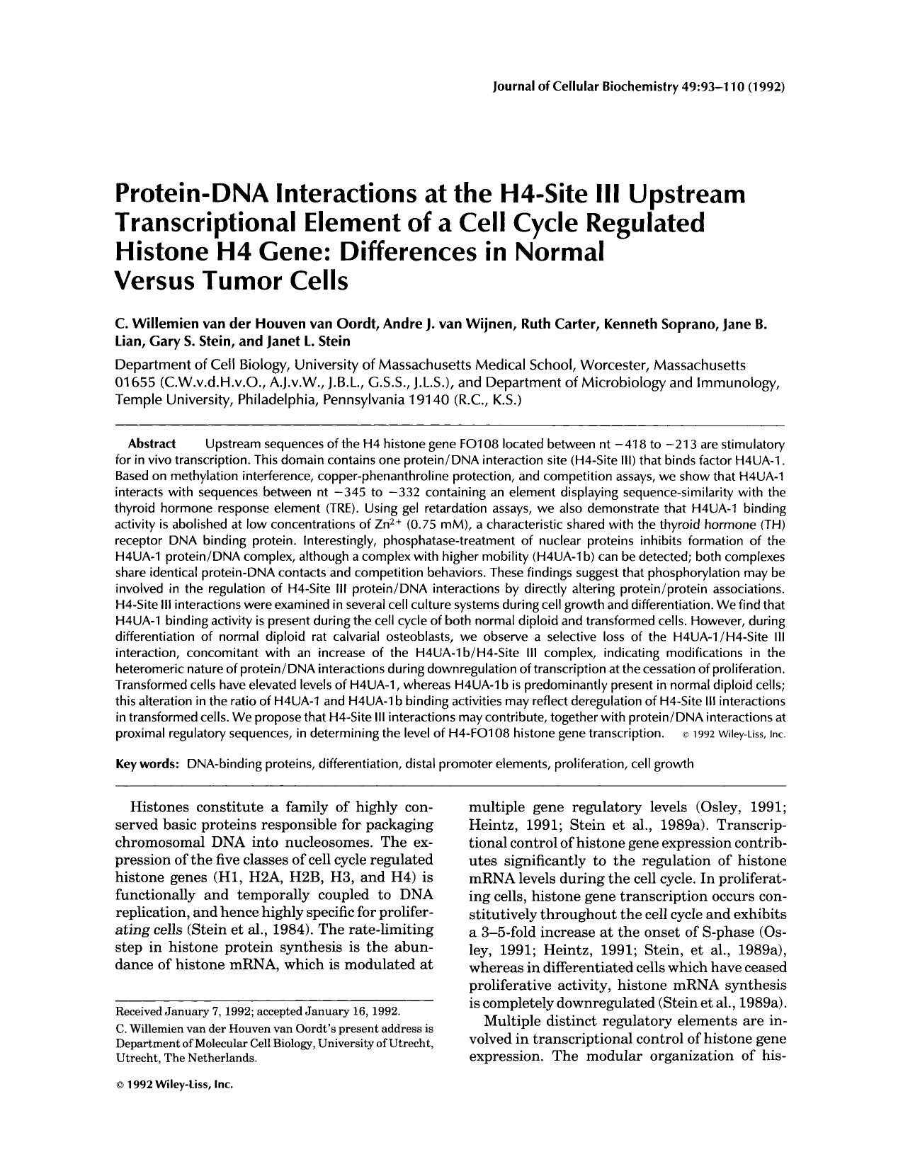 Protein-DNA interactions at the H4-Site III upstream transcriptional element of a cell cycle regulated histone H4 gene: Differences in normal versus tumor cells by Unknown