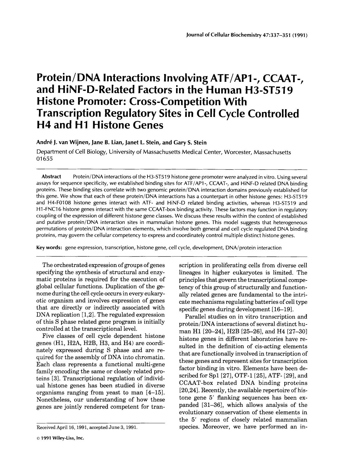 ProteinDNA interactions involving ATFAP1-, CCAAT-, and HiNF-D-related factors in the human H3-ST519 histone promoter: Cross-competition with transcription regulatory sites in cell by Unknown