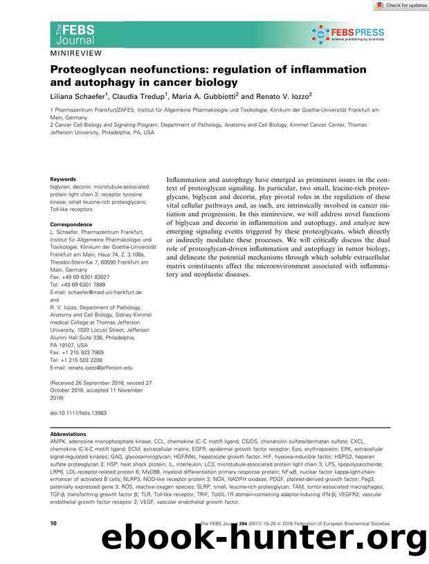 Proteoglycan neofunctions: regulation of inflammation and autophagy in cancer biology by Unknown