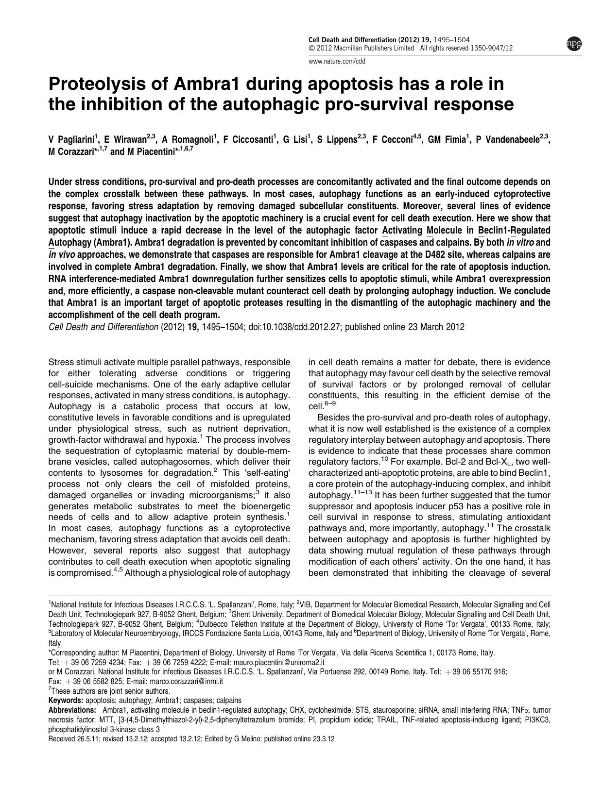 Proteolysis of Ambra1 during apoptosis has a role in the inhibition of the autophagic pro-survival response by unknow