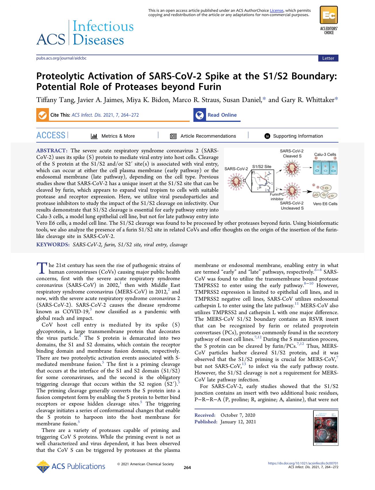 Proteolytic Activation of SARS-CoV-2 Spike at the S1S2 Boundary: Potential Role of Proteases beyond Furin by Tiffany Tang Javier A. Jaimes Miya K. Bidon Marco R. Straus Susan Daniel and Gary R. Whittaker