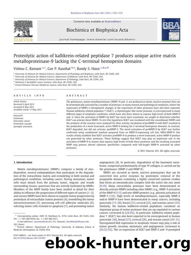 Proteolytic action of kallikrein-related peptidase 7 produces unique active matrix metalloproteinase-9 lacking the C-terminal hemopexin domains by Vishnu C. Ramani & Gur P. Kaushal & Randy S. Haun