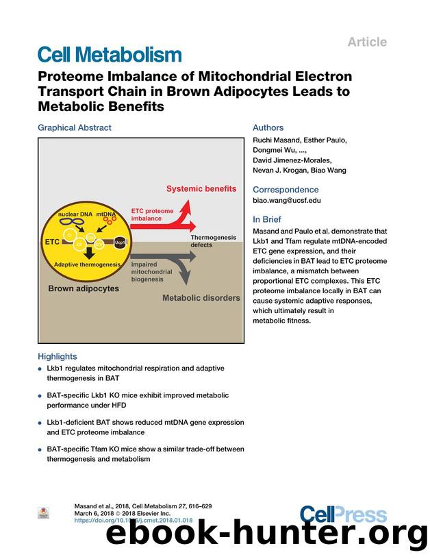 Proteome Imbalance of Mitochondrial Electron Transport Chain in Brown Adipocytes Leads to Metabolic Benefits by unknow