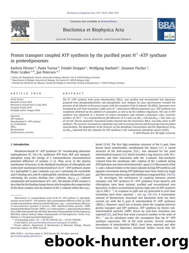 Proton transport coupled ATP synthesis by the purified yeast H+-ATP synthase in proteoliposomes by Kathrin Förster