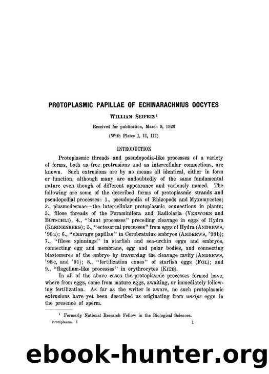 Protoplasmic papillae of Echinarachnius oocytes by Unknown