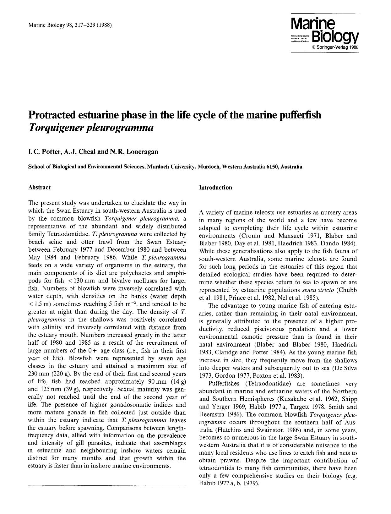 Protracted estuarine phase in the life cycle of the marine pufferfish <Emphasis Type="Italic">Torquigener pleurogramma<Emphasis> by Unknown