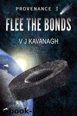Provenance I - Flee The Bonds by V J Kavanagh