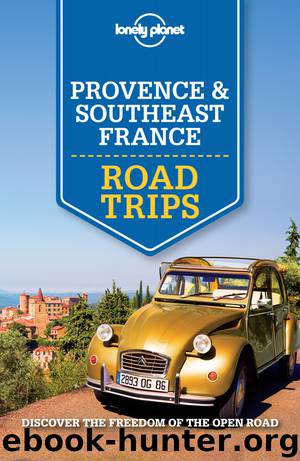 Provence & Southeastern France Road Trips by Lonely Planet