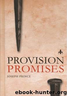 Provision Promises by Joseph Prince
