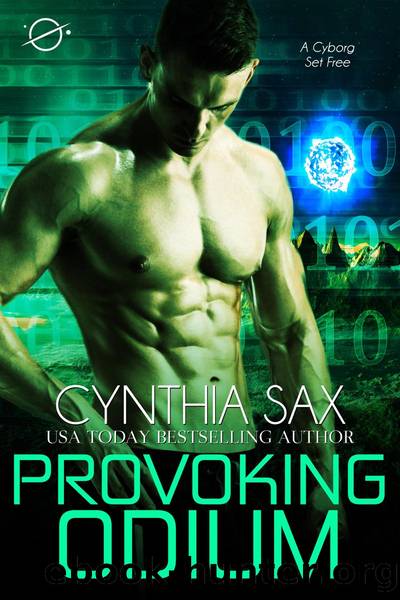 Provoking Odium by Cynthia Sax
