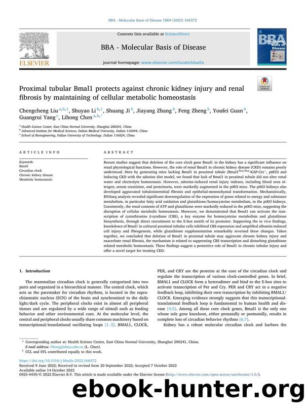 Proximal tubular Bmal1 protects against chronic kidney injury and renal fibrosis by maintaining of cellular metabolic homeostasis by unknow
