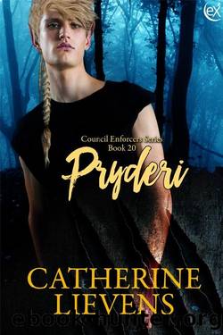 Pryderi by Catherine Lievens