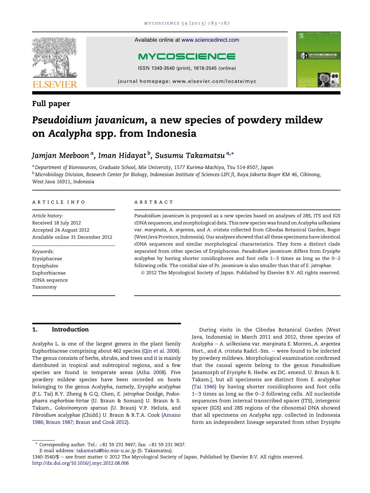 Pseudoidium javanicum, a new species of powdery mildew on Acalypha spp. from Indonesia by Jamjan Meeboon & Iman Hidayat & Susumu Takamatsu