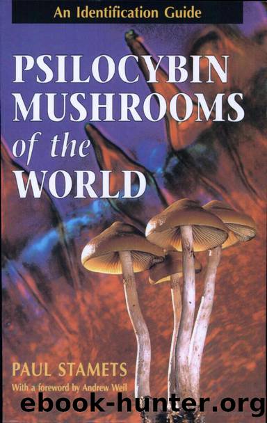 Psilocybin Mushrooms of the World  An Identification Guide ( PDFDrive ) by Unknown