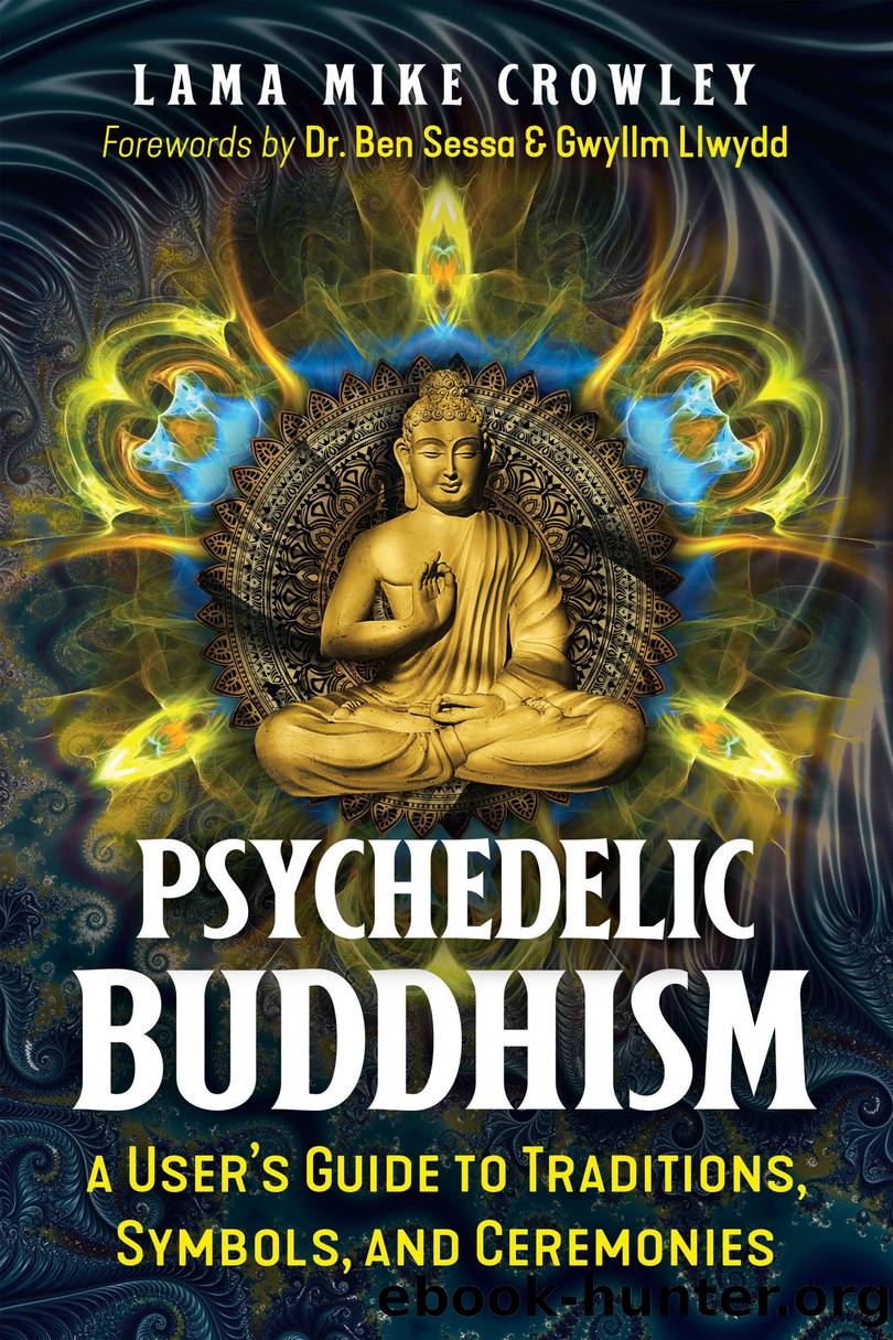 Psychedelic Buddhism: a User's Guide to Traditions, Symbols, and Ceremonies by Lama Mike Crowley