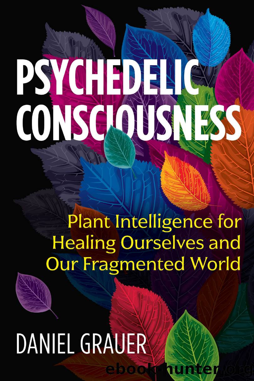 Psychedelic Consciousness by Daniel Grauer